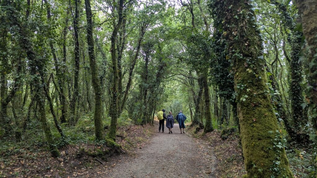Camino Inglés a Santiago desde Ferrol: recuperando la autenticidad
