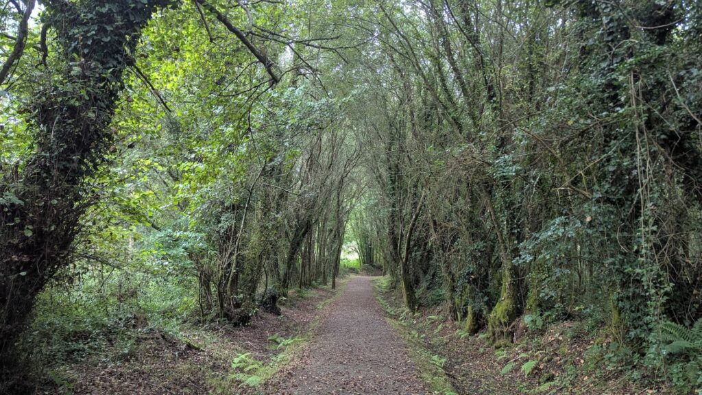 Camino Inglés a Santiago desde Ferrol: recuperando la autenticidad
